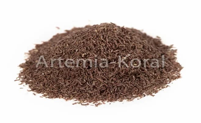 Bloodworm FD