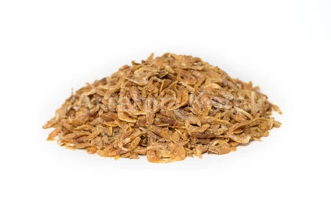 Süßwasserschrimps 2 -4 cm