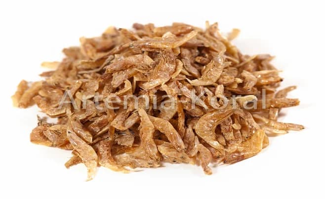 Schrimps 3-4cm