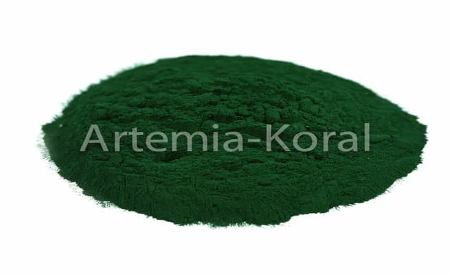 Spirulina Pulver 100%