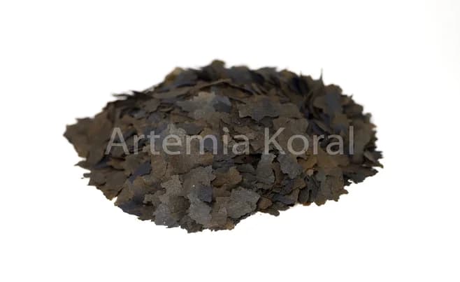 Artemia Flocken Schwarz