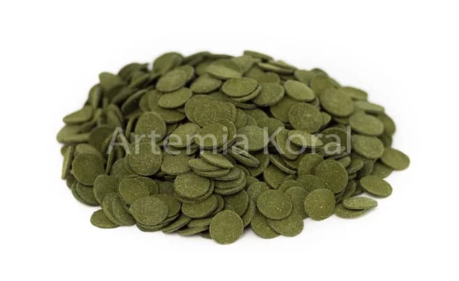 Spirulina Plättchen